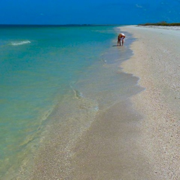 Cici’s Closet***Bookmark to Save! - Picture 6 of 7